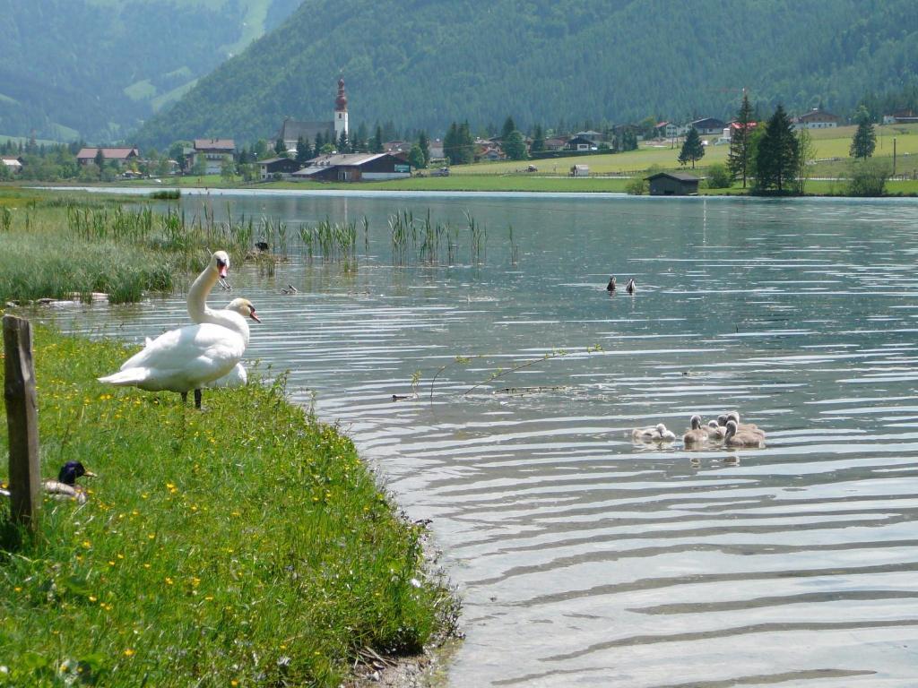Appartement Pillersee Sankt Ulrich am Pillersee Exterior foto